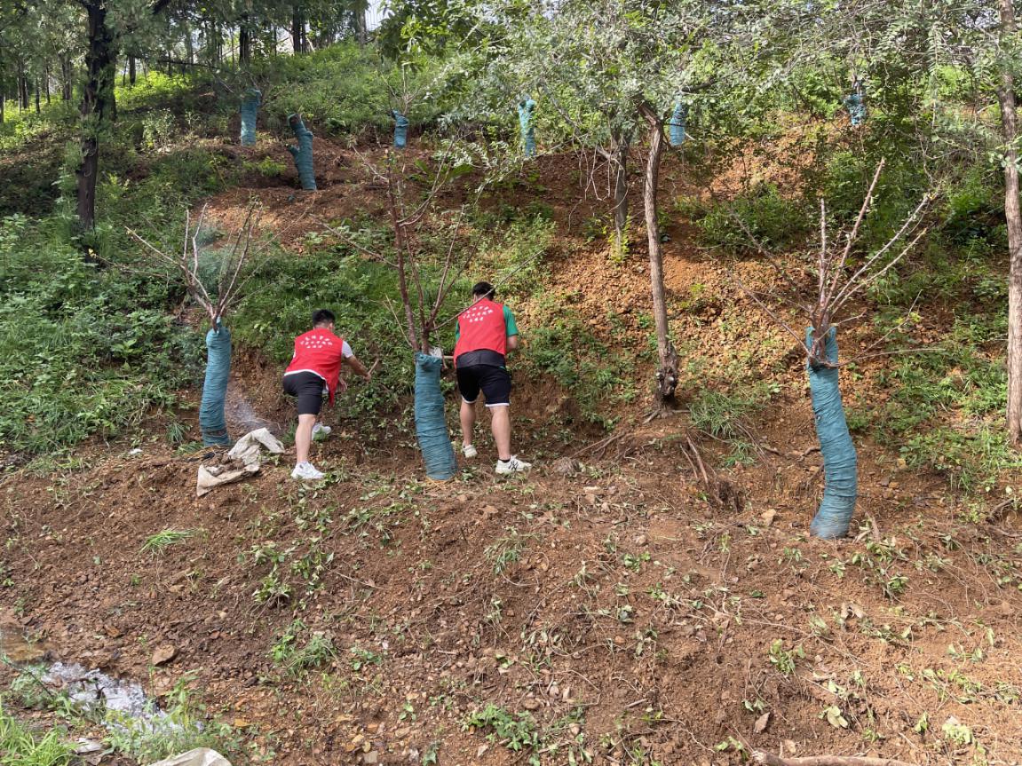 球友体育备用网址